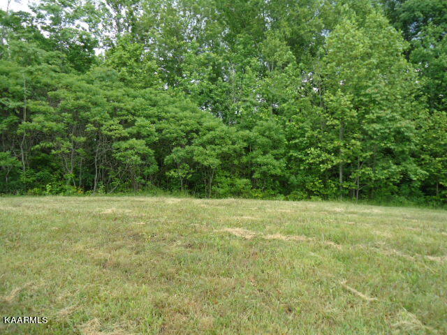 Lot 7 Star Point Road Celina, TN 38551 - Photo 7 of 30 DSC04677