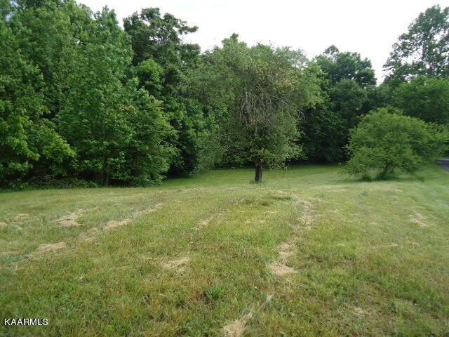 Lot 7 Star Point Road Celina, TN 38551 - Photo 8 of 30 DSC04678