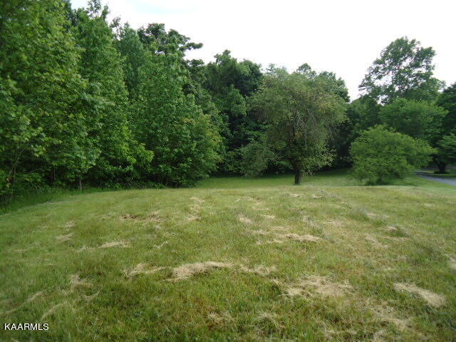 Lot 7 Star Point Road Celina, TN 38551 - Photo 10 of 30 DSC04680