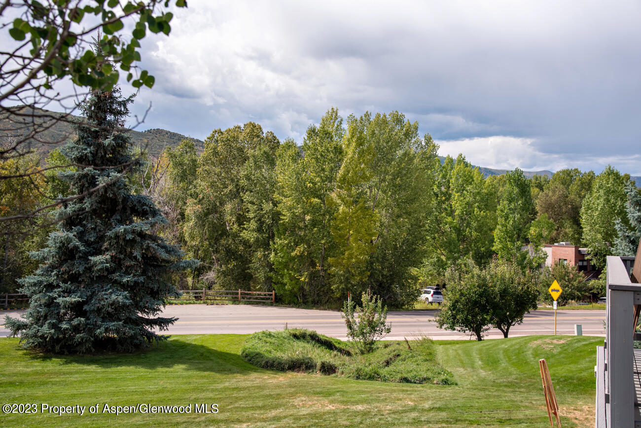 2208 Elk Lane Basalt, CO 81621 - Photo 14 of 20 a view of a yard
