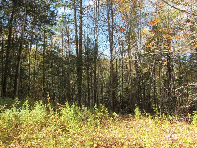 $46,500 | P/o M3-l45 Schoolhouse Brook Road, Caratunk, ME 04925