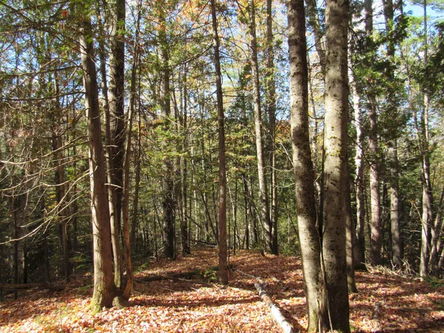 $46,500 | P/o M3-l45 Schoolhouse Brook Road, Caratunk, ME 04925