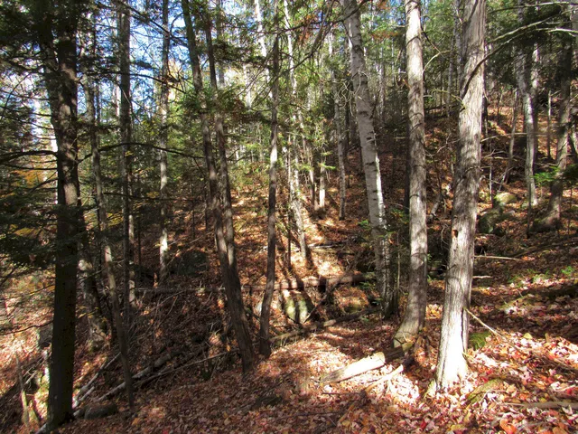 $46,500 | P/o M3-l45 Schoolhouse Brook Road, Caratunk, ME 04925