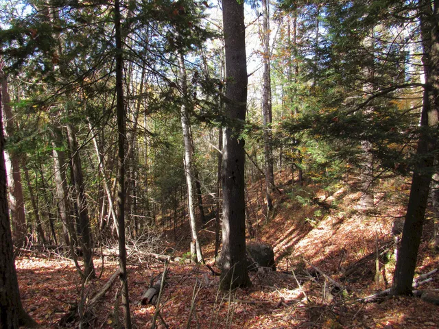 $46,500 | P/o M3-l45 Schoolhouse Brook Road, Caratunk, ME 04925