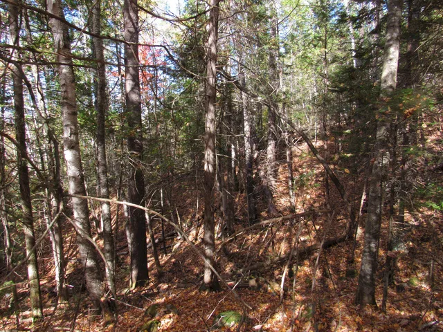 $46,500 | P/o M3-l45 Schoolhouse Brook Road, Caratunk, ME 04925