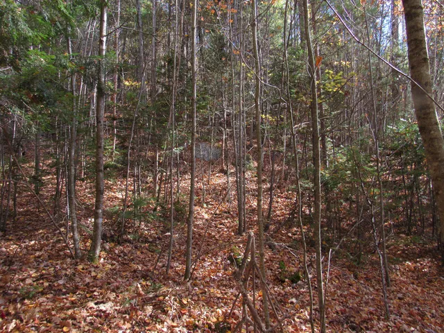 $46,500 | P/o M3-l45 Schoolhouse Brook Road, Caratunk, ME 04925