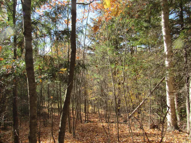 $46,500 | P/o M3-l45 Schoolhouse Brook Road, Caratunk, ME 04925