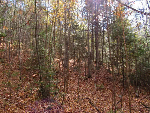 $46,500 | P/o M3-l45 Schoolhouse Brook Road, Caratunk, ME 04925