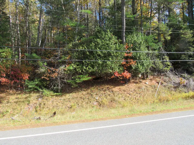 $46,500 | P/o M3-l45 Schoolhouse Brook Road, Caratunk, ME 04925