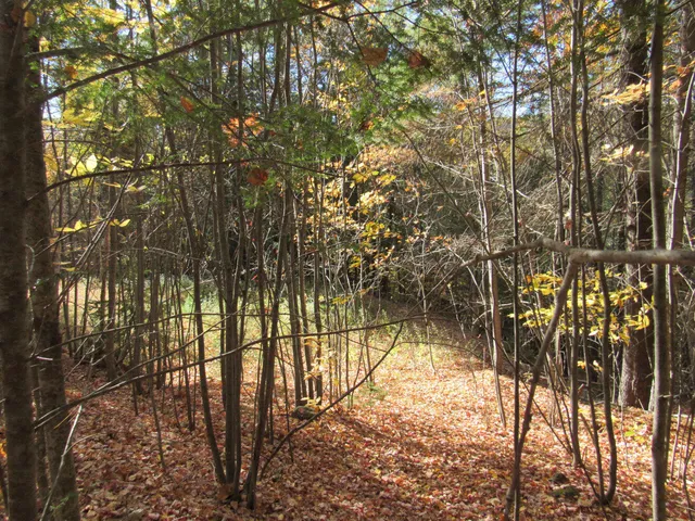 $46,500 | P/o M3-l45 Schoolhouse Brook Road, Caratunk, ME 04925