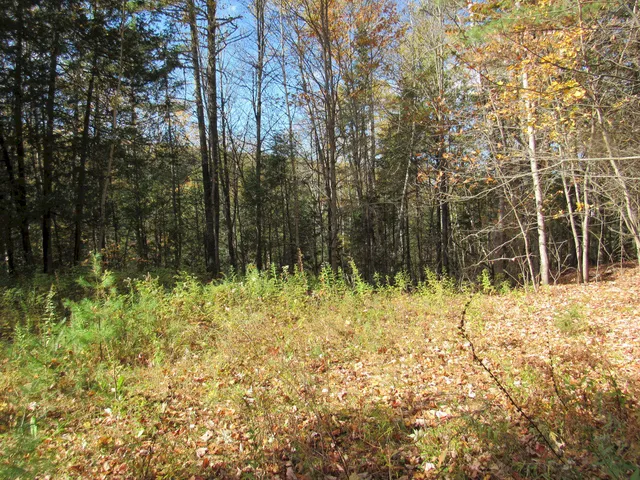 $46,500 | P/o M3-l45 Schoolhouse Brook Road, Caratunk, ME 04925