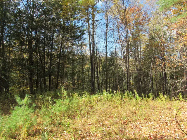 $46,500 | P/o M3-l45 Schoolhouse Brook Road, Caratunk, ME 04925