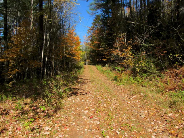 $46,500 | P/o M3-l45 Schoolhouse Brook Road, Caratunk, ME 04925