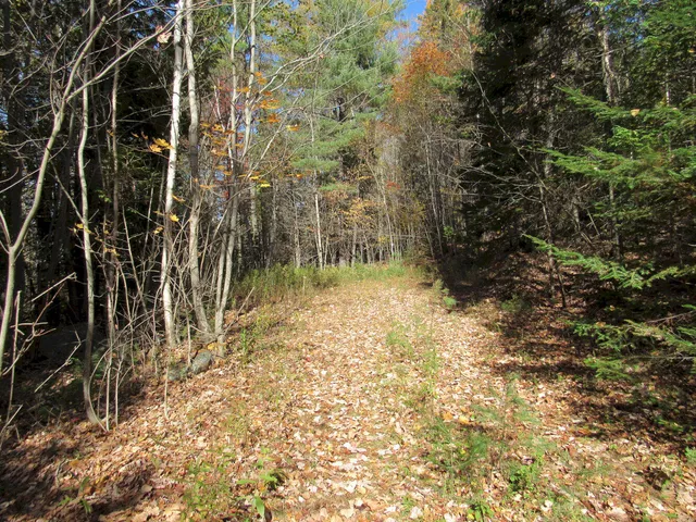 $46,500 | P/o M3-l45 Schoolhouse Brook Road, Caratunk, ME 04925