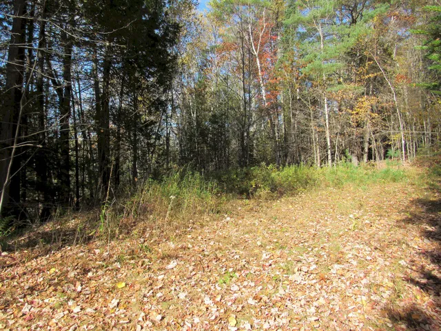 $46,500 | P/o M3-l45 Schoolhouse Brook Road, Caratunk, ME 04925