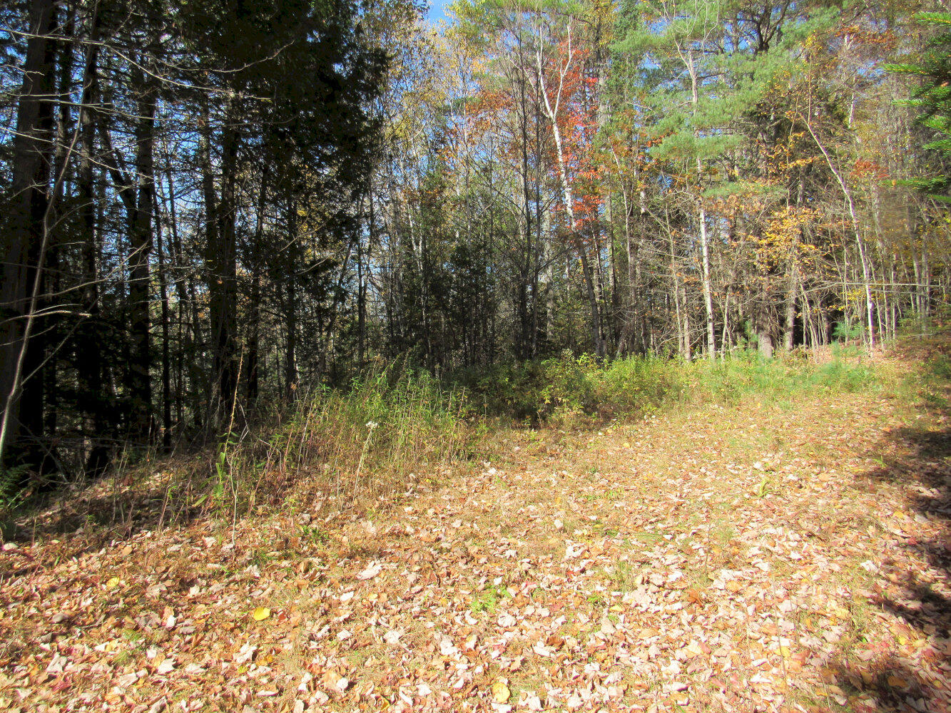 P/o M3-l45 Schoolhouse Brook Road Caratunk, ME 04925 - Photo 8 of 24 IMG_2352_result