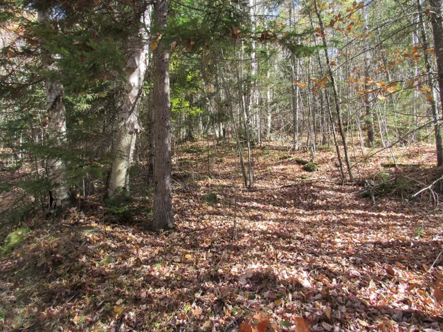 $46,500 | P/o M3-l45 Schoolhouse Brook Road, Caratunk, ME 04925