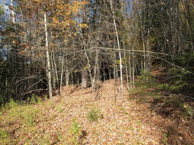 $46,500 | P/o M3-l45 Schoolhouse Brook Road, Caratunk, ME 04925