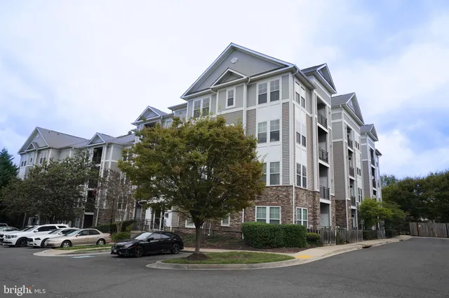 a city street lined with parked cars and buildings