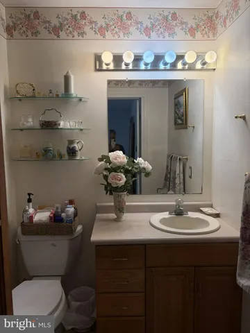 a bathroom with a sink a toilet and a mirror