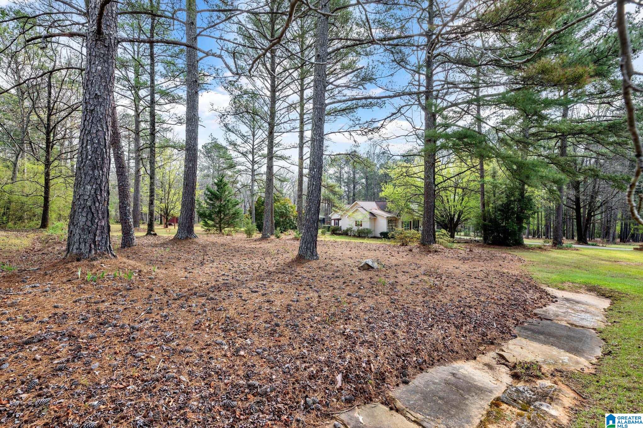 510 Myrick Road Warrior, AL 35180 - Photo 45 of 61