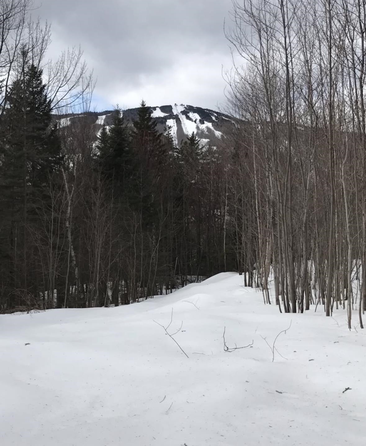 1 Pinnacle View Lane West Dover, VT 05356 - Photo 3 of 5