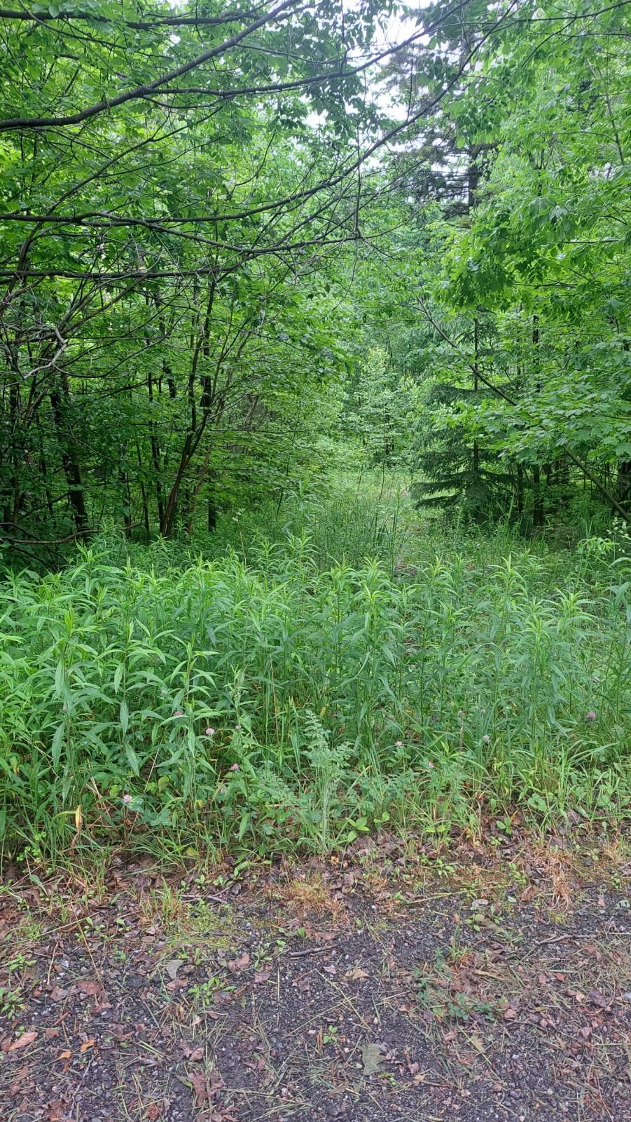 1 Pinnacle View Lane West Dover, VT 05356 - Photo 4 of 5