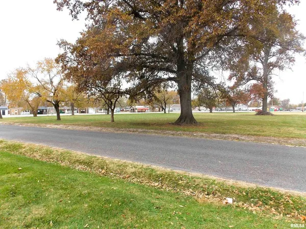 a city view with large trees and a big yard
