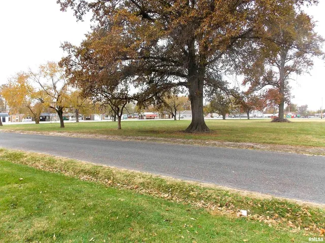 a city view with large trees and a big yard