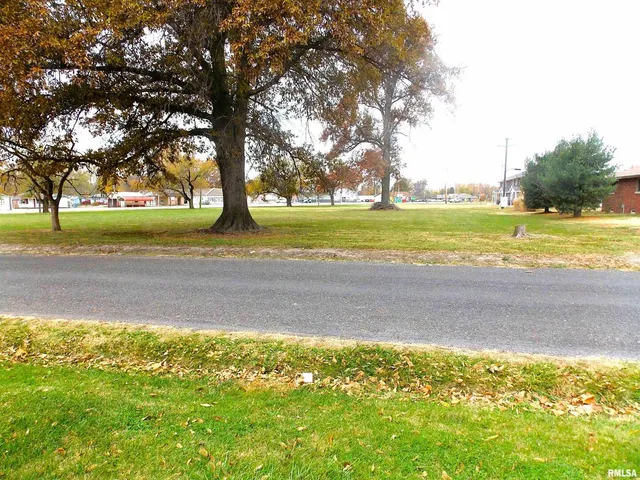 a view of a yard with a large trees