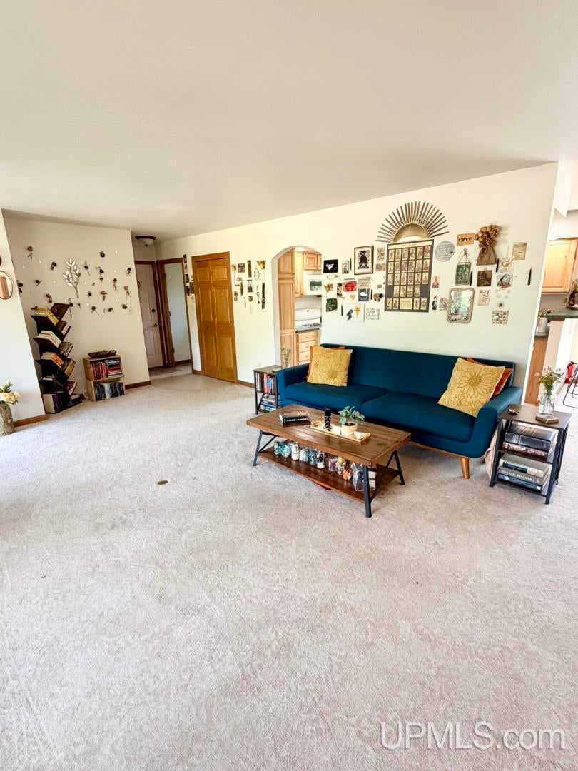 6551 Caps Creek Road Republic, MI 49879 - Photo 14 of 60 Gallery Image 14