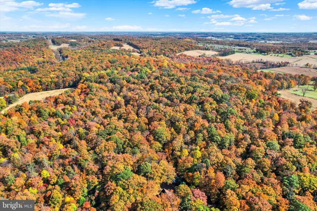 a view of city and ocean