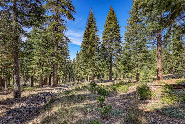 a view of backyard with green space