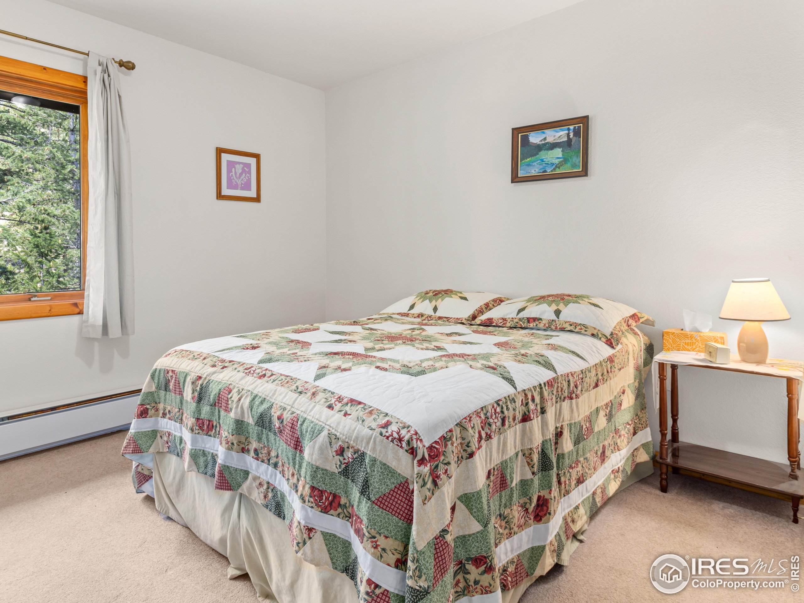 255 Apache Road Lyons, CO 80540 - Photo 19 of 33