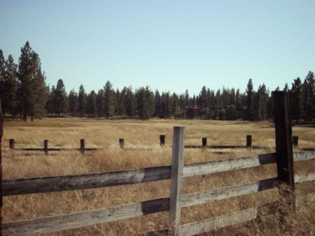 4615 West Curtis Road Cheney, WA 99004 - Photo 9 of 9