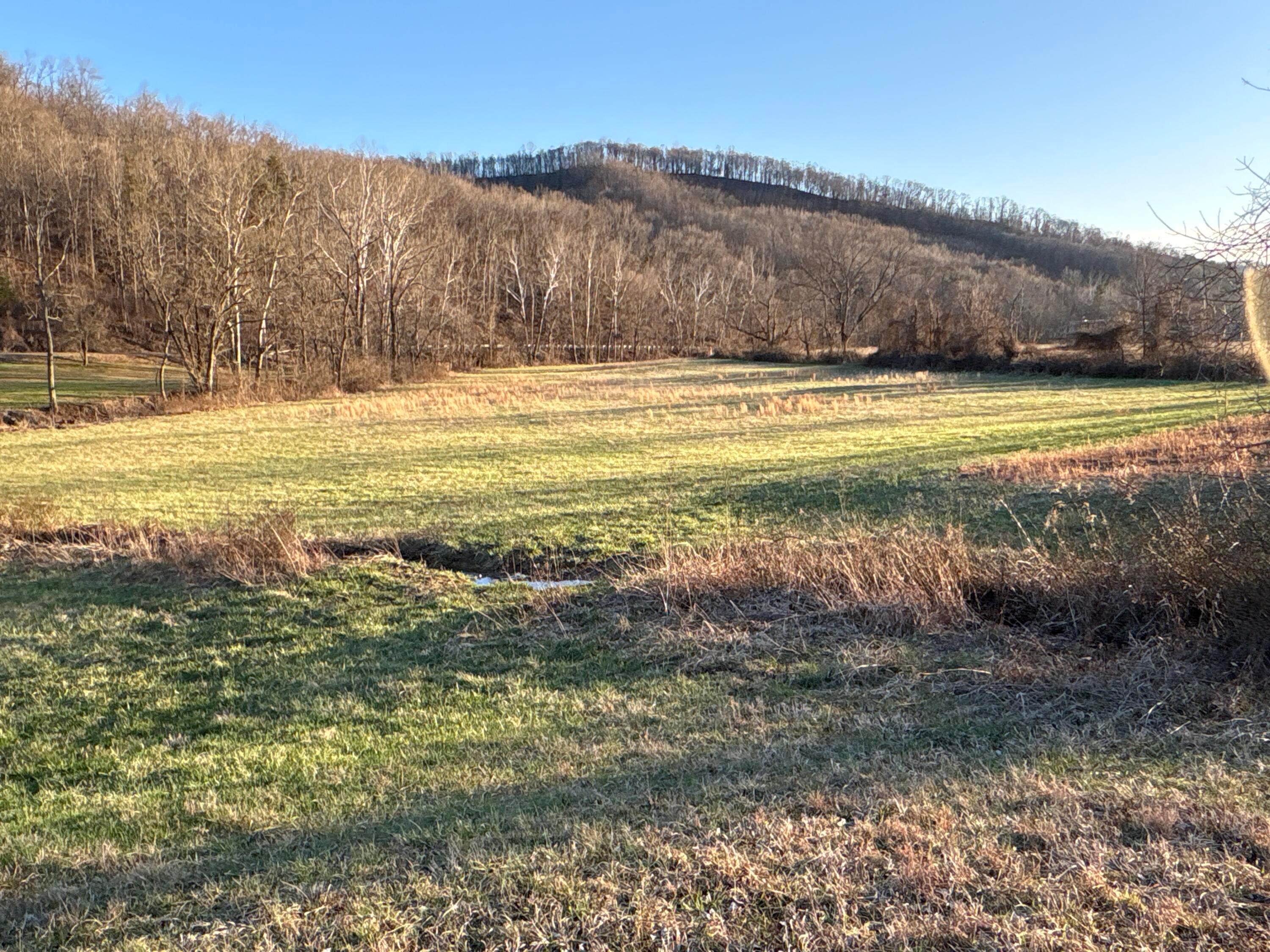 0 Millers Run-Fallen Timber Road Lucasville, OH 45648 - Photo 3 of 24 pic 1