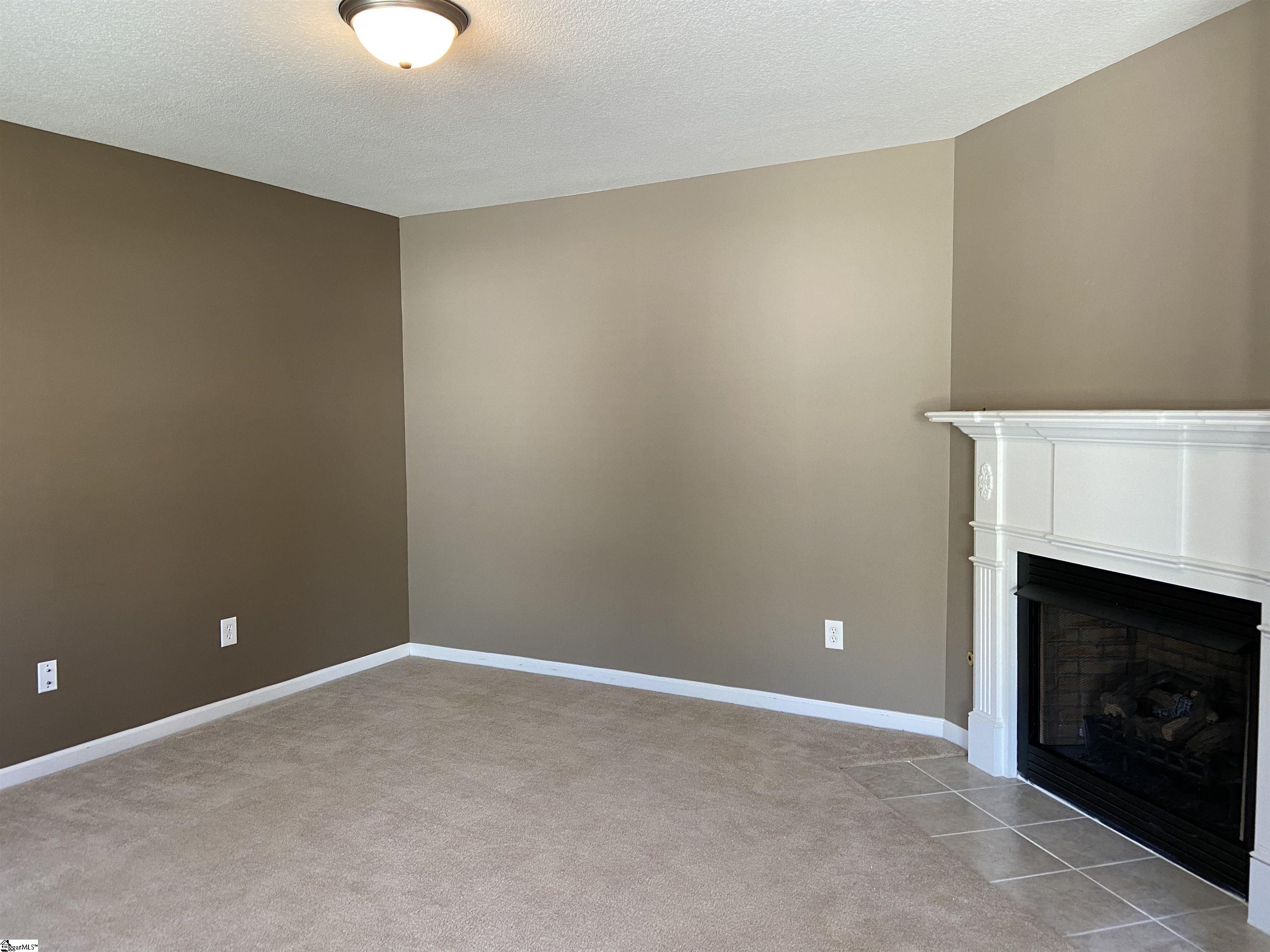 34 Tigris Way Greenville, SC 29607 - Photo 3 of 20 Gallery Image 3