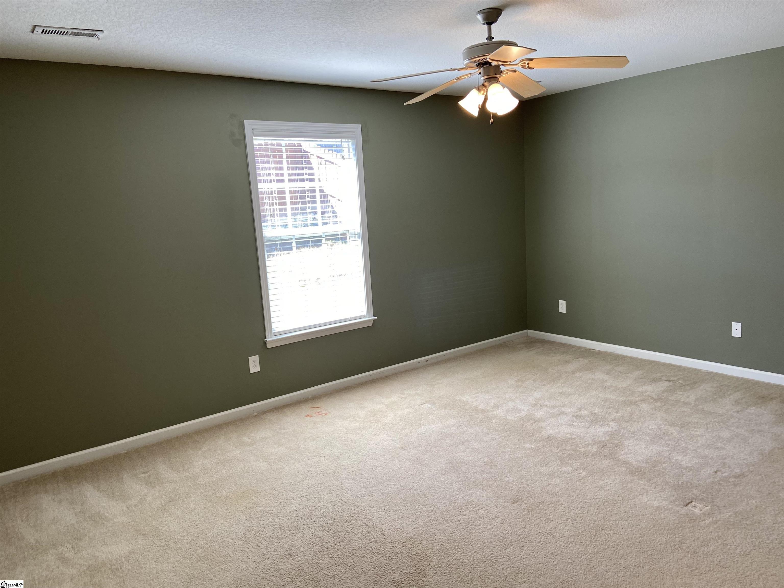 34 Tigris Way Greenville, SC 29607 - Photo 10 of 20 Gallery Image 10
