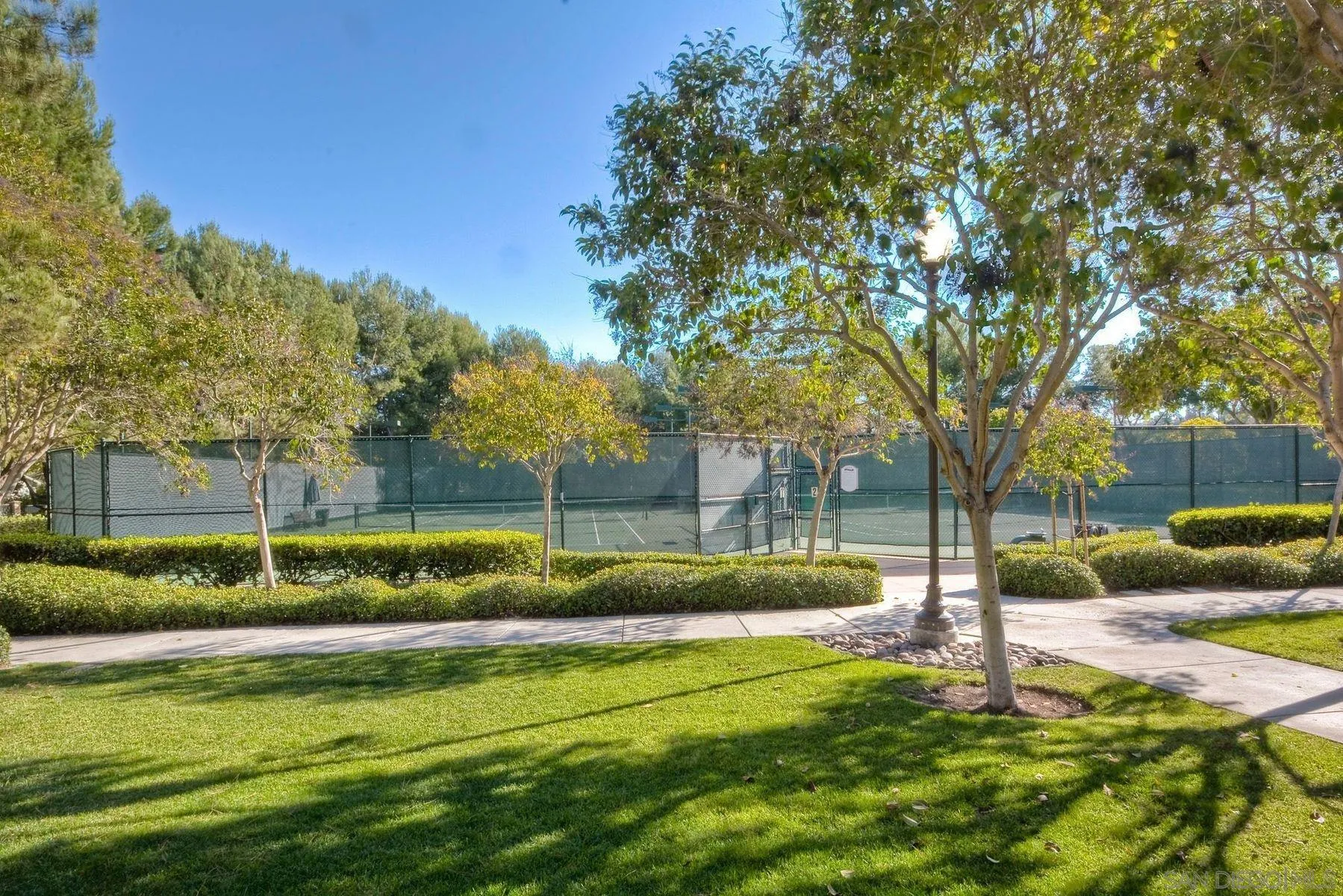 9633 Stonecrest Boulevard San Diego, CA 92123 - Photo 44 of 45 a view of backyard with tree