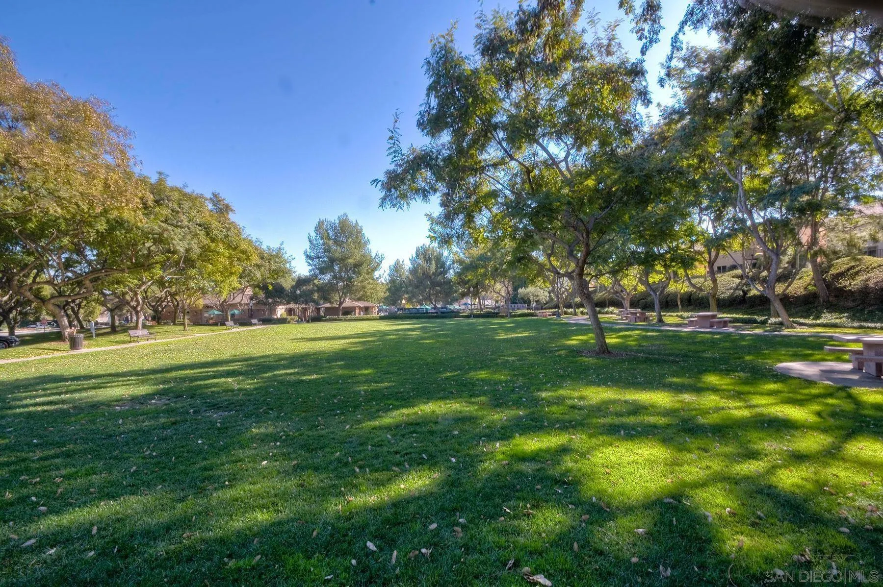 9633 Stonecrest Boulevard San Diego, CA 92123 - Photo 45 of 45 a view of field with trees