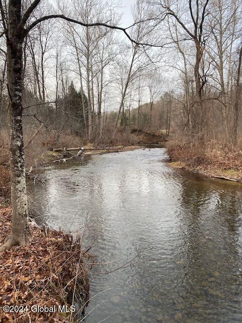 19 Porter Mill Road Crown Point, NY 12928 - Photo 17 of 20 River Access