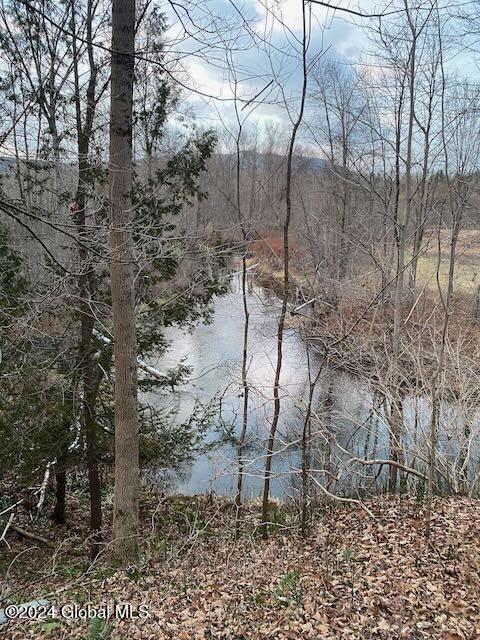 19 Porter Mill Road Crown Point, NY 12928 - Photo 19 of 20 River Access