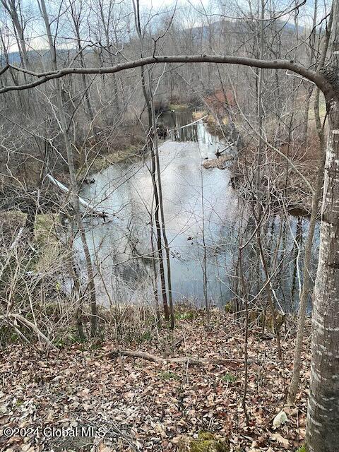 19 Porter Mill Road Crown Point, NY 12928 - Photo 20 of 20 River Access