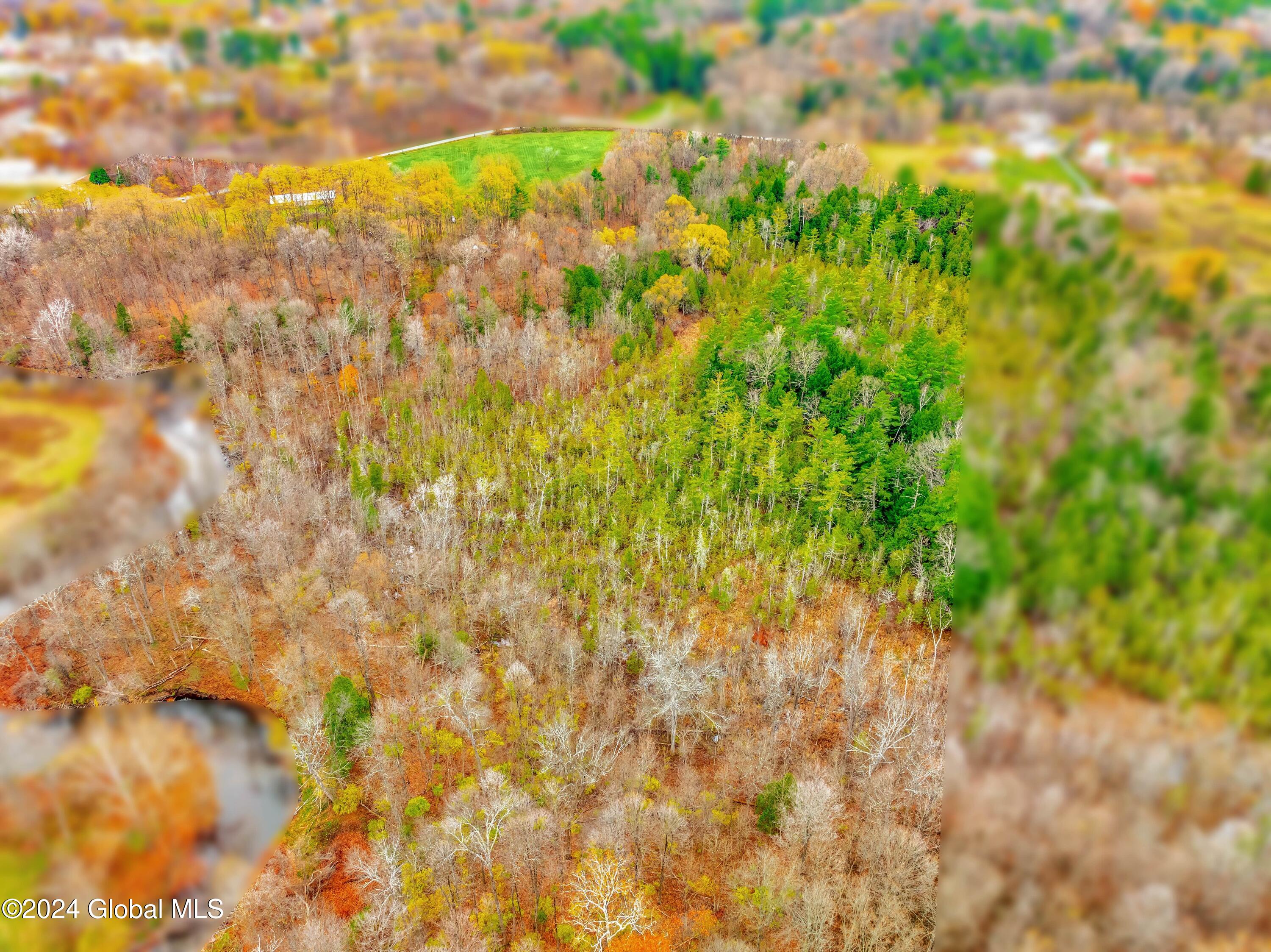 19 Porter Mill Road Crown Point, NY 12928 - Photo 9 of 20 Borders