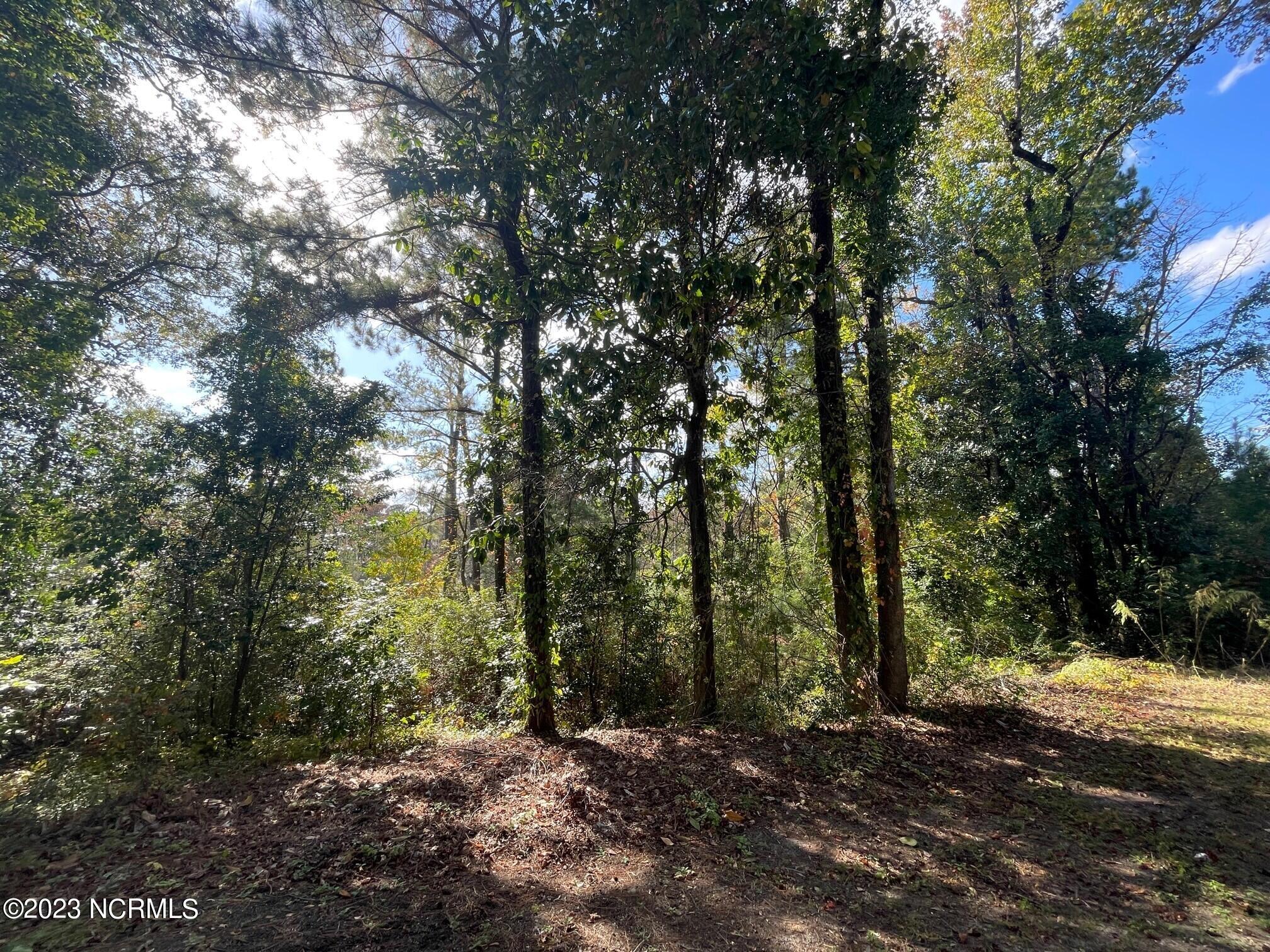 5140 Greenville Loop Road, Unit A Wilmington, NC 28409 - Photo 11 of 11 woods