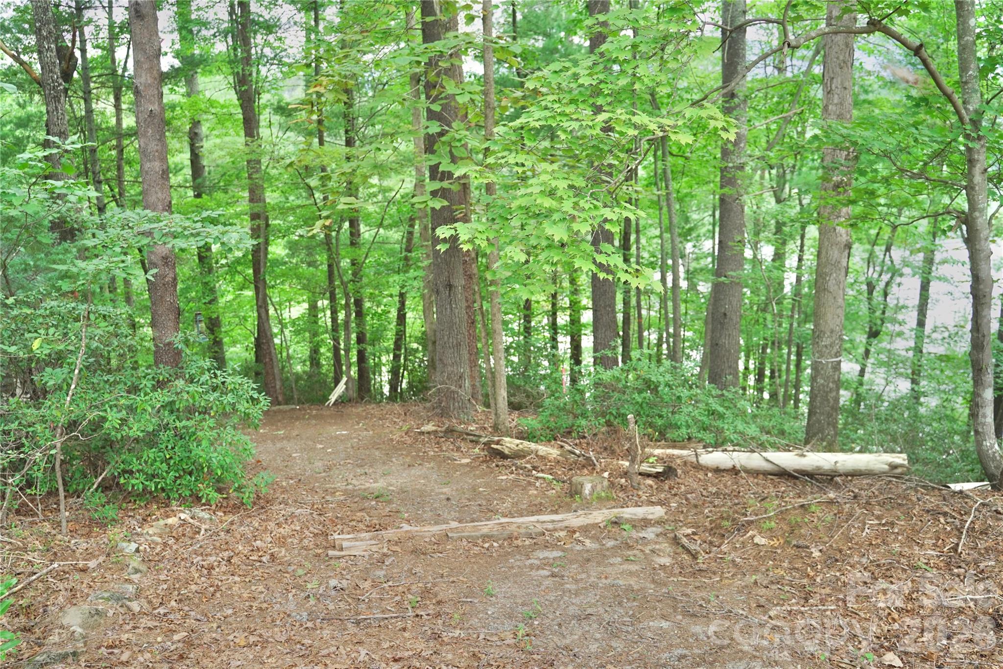 3 South Pointe Road Mill Spring, NC 28756 - Photo 6 of 10 Gallery Image 6