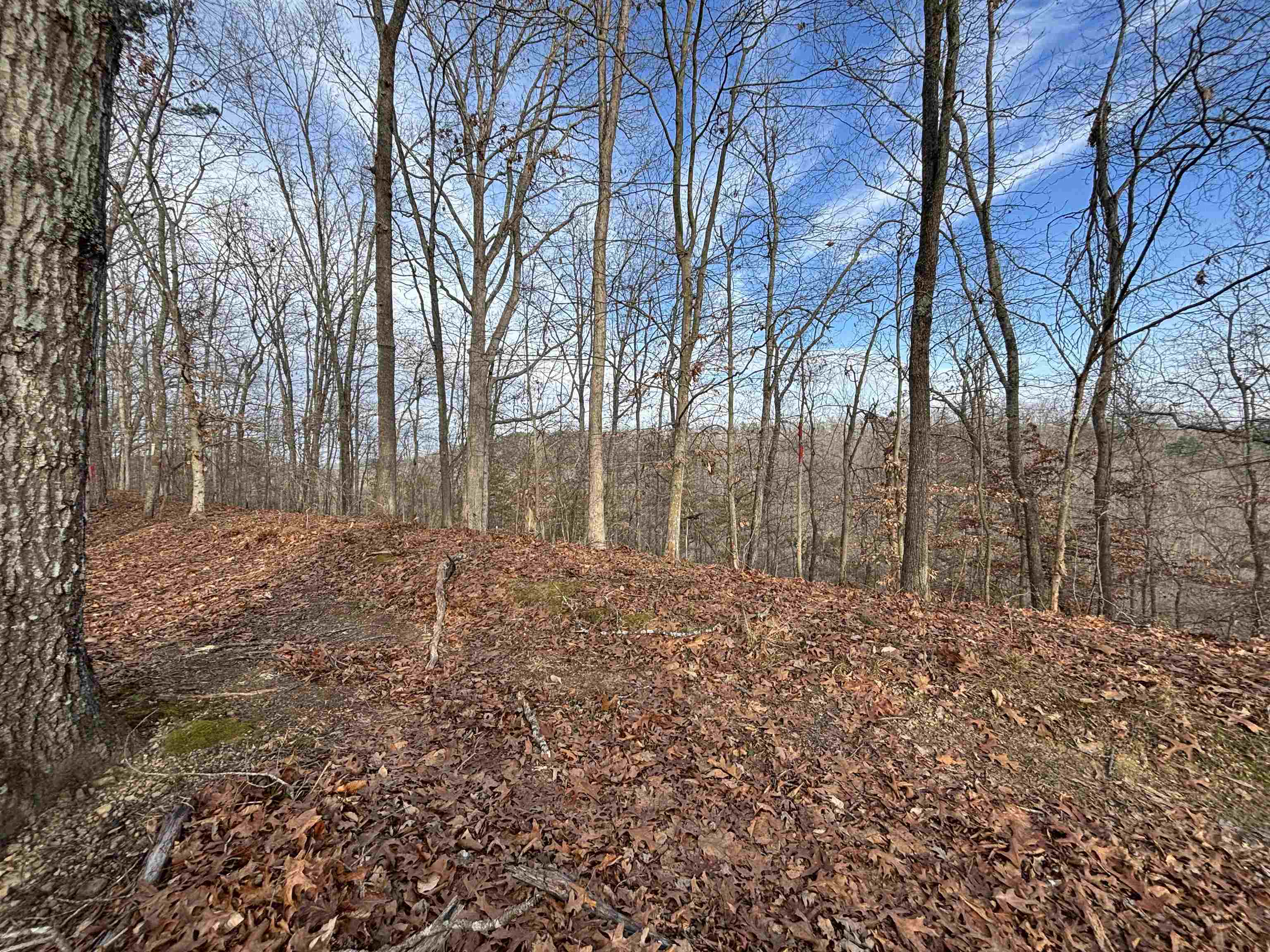 0 Dry Ridge Louisa, KY 41230 - Photo 14 of 18