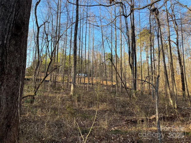 a view of a garden with a building
