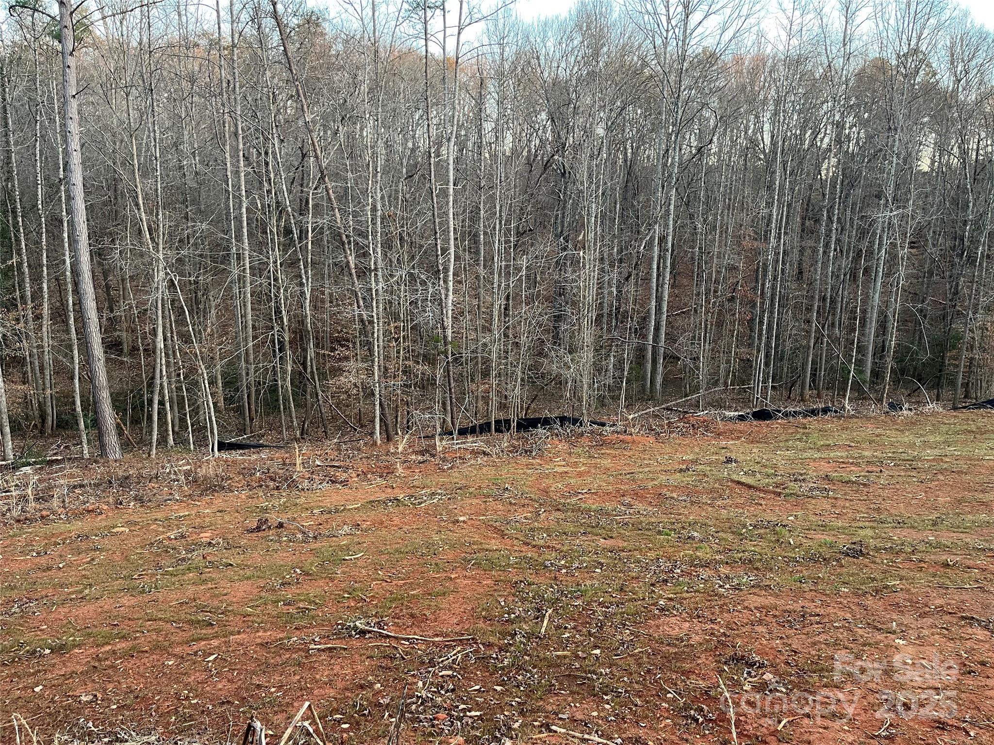 0 Chisholm Trail Rutherfordton, NC 28139 - Photo 3 of 5 a view of outdoor space with trees