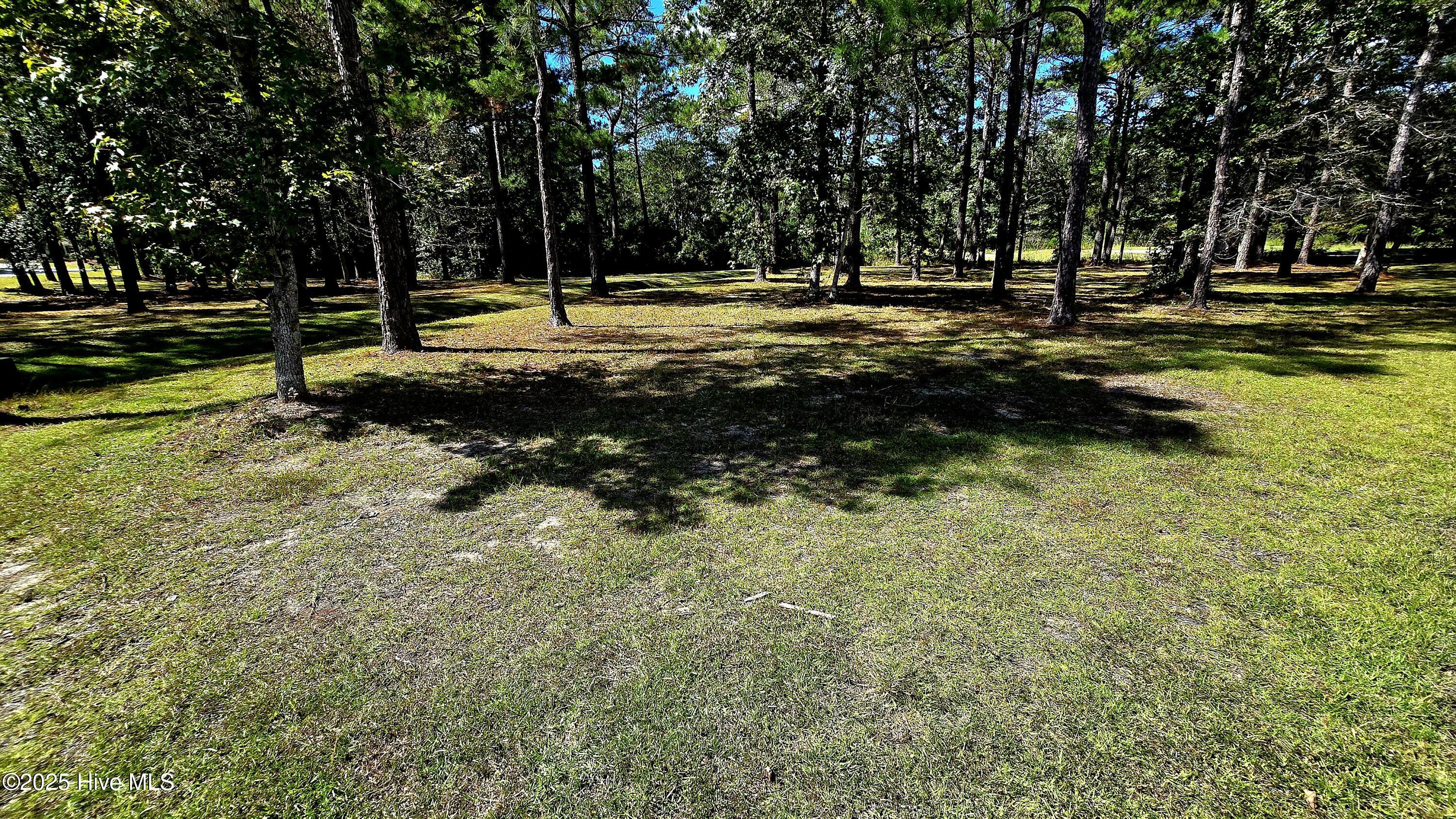 503 Cromwell Notch Southwest Ocean Isle Beach, NC 28469 - Photo 3 of 16 View of the lot.